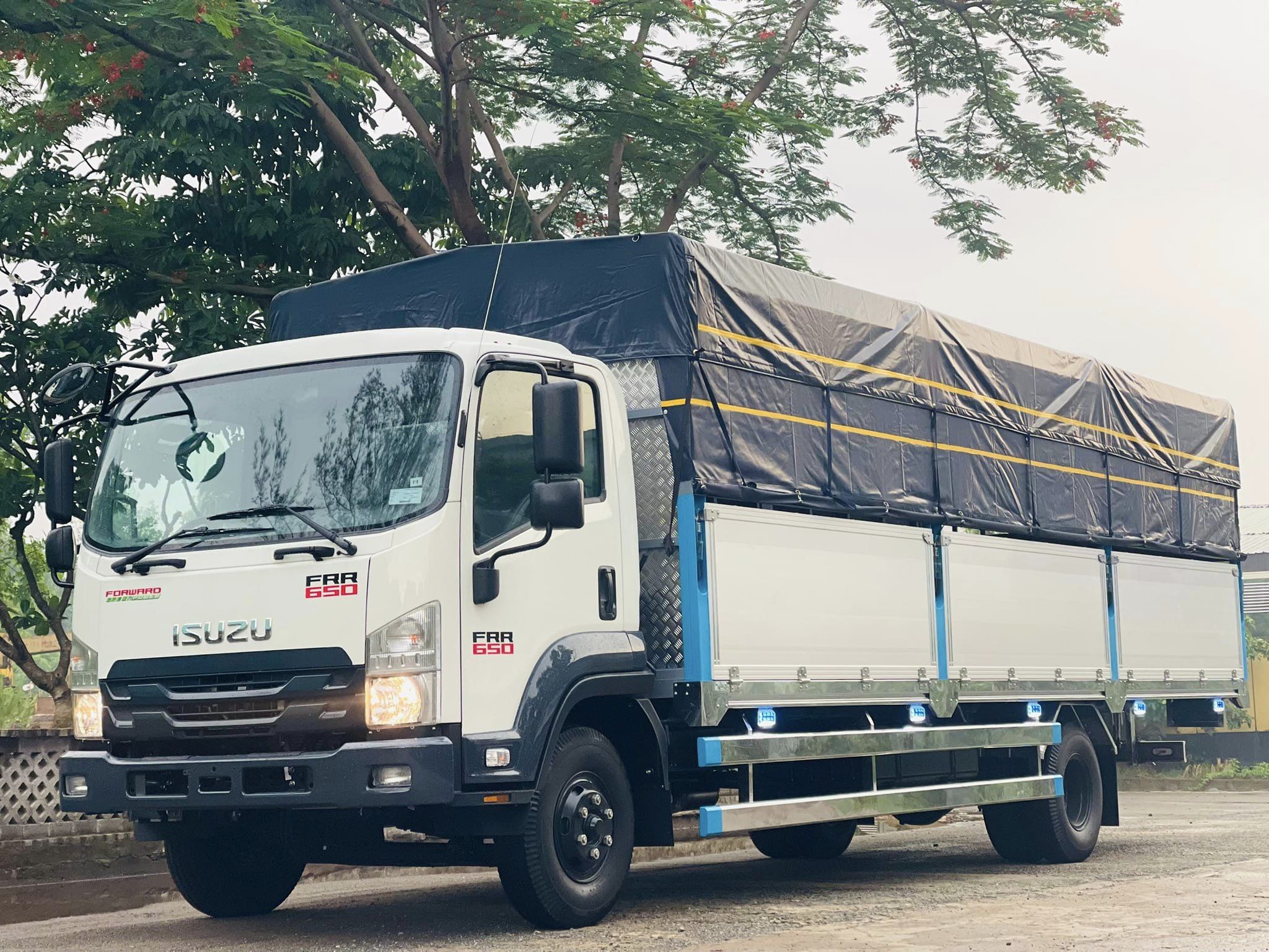 Xe Tải FRR650 – "Cỗ Máy Vận Tải" Đáp Ứng Mọi Nhu Cầu